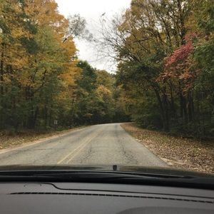 Meet your Posher, Josie